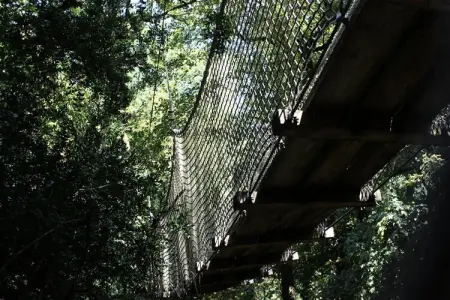 Parc de la Belle, Cabane des Buis 2 personnes - Photo 19