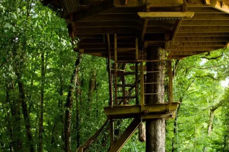 Parc de la Belle, Cabane des Robinsons 2 personnes - Photo 17