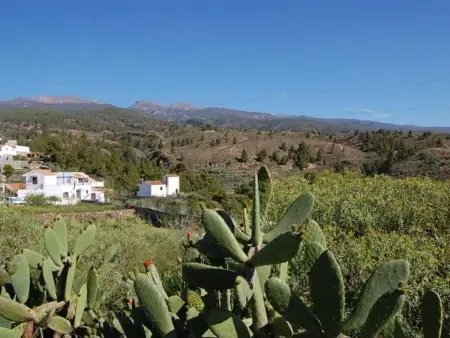 Gîte de charme avec piscine privée et jardin à Tenerife - Photo 24