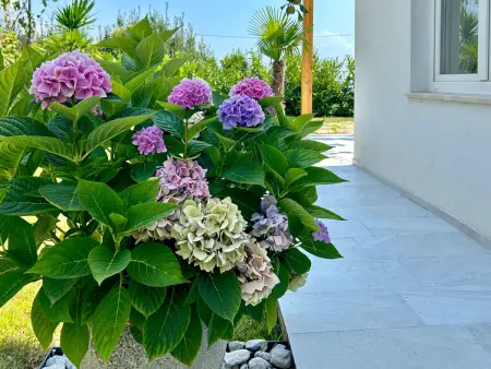 Villa Palma, Appartement 2 personnes à Lovran - Photo 34