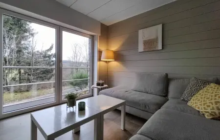 Maison 10 personnes à Baraque de Fraiture - Photo 3