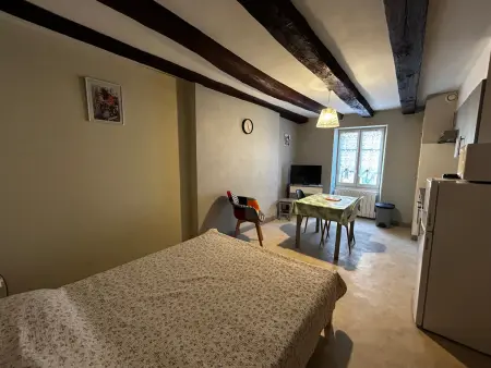Studio centre La Roche-Posay, Wifi, parking gratuit - Photo 7