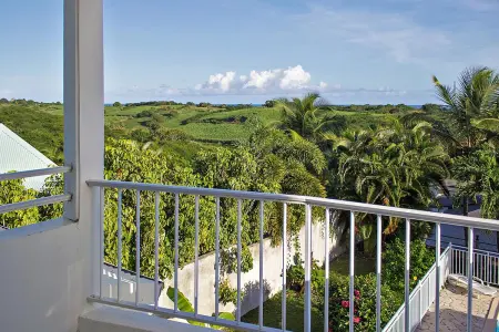Studio charmant à Sainte-Anne avec piscine partagée, 24 m² - Photo 15
