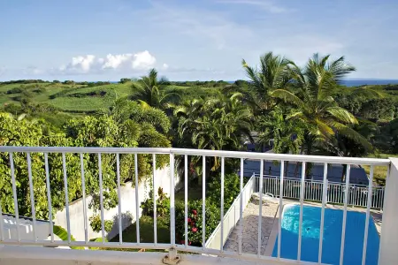 Studio charmant à Sainte-Anne avec piscine partagée, 24 m² - Photo 16