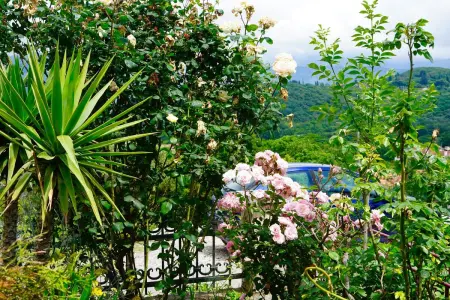 Appartement confortable à Radovići 75 m² avec vue montagne - Photo 48