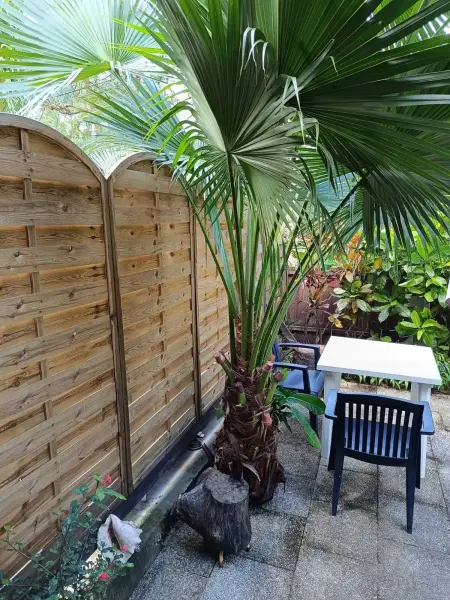 Studio confortable à Schoelcher - 16 m² - Jardin privé - Photo 10