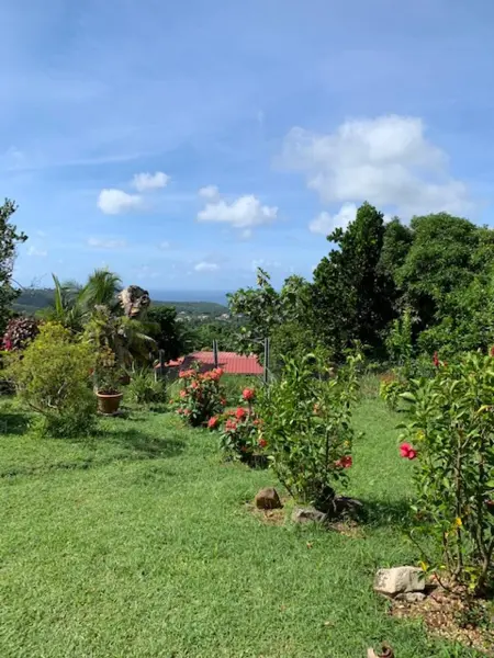 Appartement charmant à Rivière-Salée, 45 m² avec terrasse privée - Photo 4