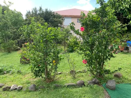 Appartement charmant à Rivière-Salée, 45 m² avec terrasse privée - Photo 18