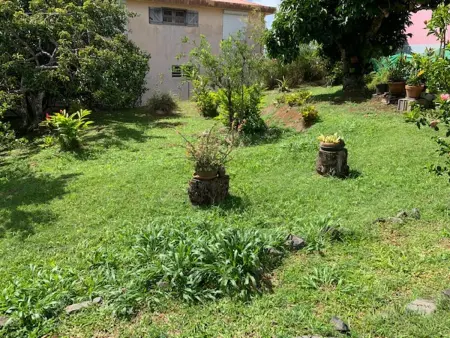 Appartement charmant à Rivière-Salée, 45 m² avec terrasse privée - Photo 20