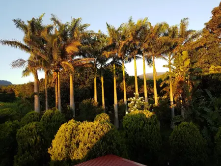 Villa charmante à Saint-Benoît avec piscine privée - Photo 24