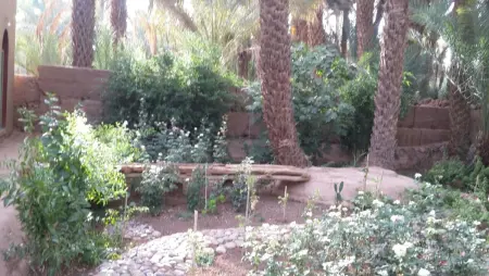 Maison charmante avec piscine à Zagora, Maison 20 personnes à Zagora - Photo 28