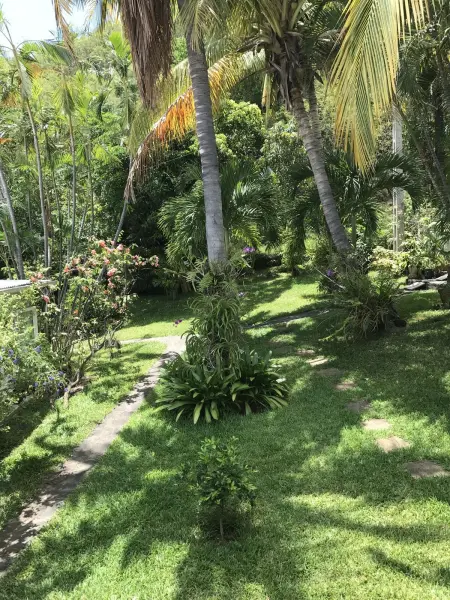 Studio cosy à Boucan Canot, 30 m² avec jardin privé - Photo 3