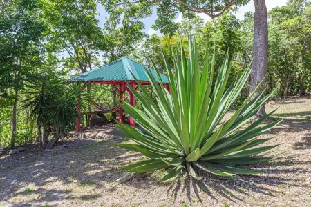 Villa élégante à Sainte-Rose avec piscine privée - Photo 19