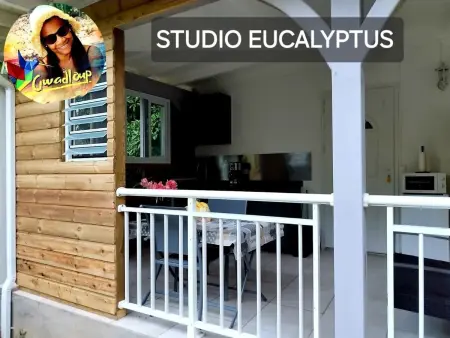 Appartement spacieux au cœur de Le Gosier avec jardin et terrasse. - Photo 16