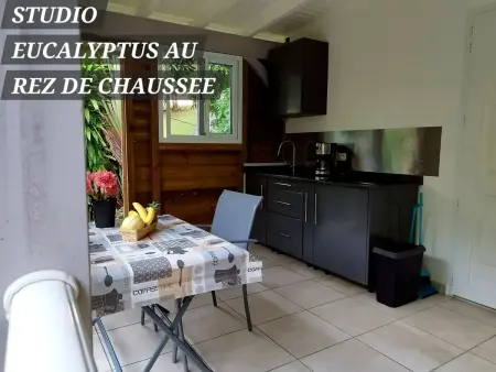 Appartement spacieux au cœur de Le Gosier avec jardin et terrasse. - Photo 17