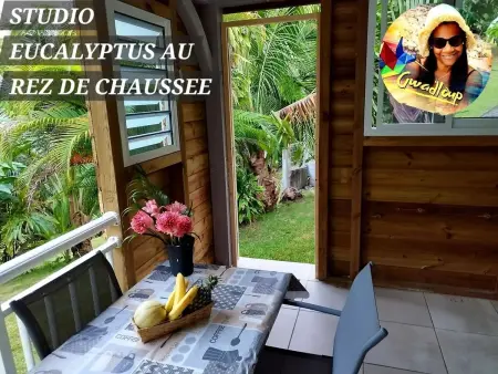 Appartement spacieux au cœur de Le Gosier avec jardin et terrasse. - Photo 18