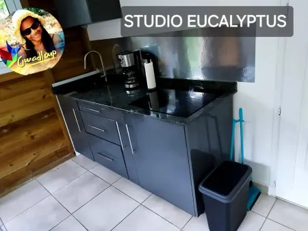 Appartement spacieux au cœur de Le Gosier avec jardin et terrasse. - Photo 19