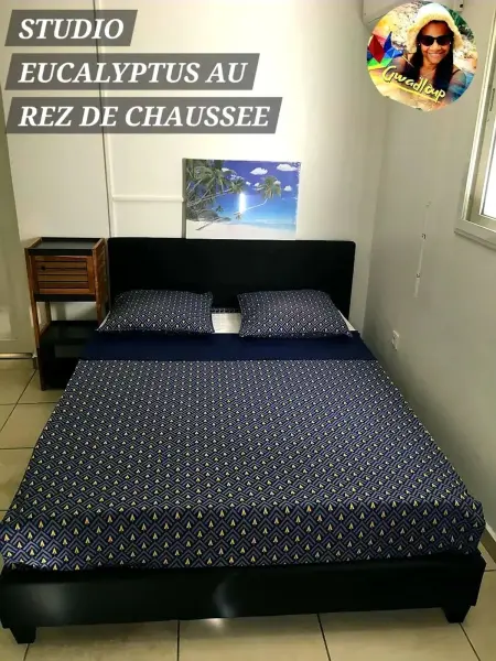 Appartement spacieux au cœur de Le Gosier avec jardin et terrasse. - Photo 20