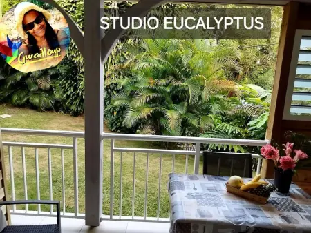 Appartement spacieux au cœur de Le Gosier avec jardin et terrasse. - Photo 22