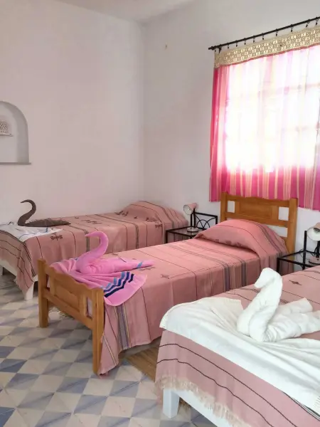 Villa spacieuse avec piscine privée à Djerba, Villa 12 personnes à Djerba - Photo 44