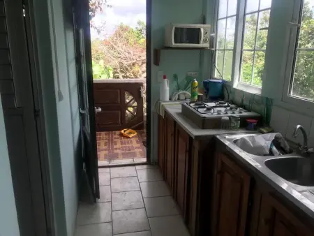 Appartement charmant à Fort-de-France, 30 m², jardin privé - Photo 4