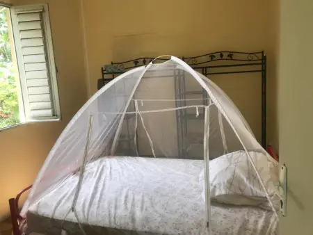 Appartement charmant à Fort-de-France, 30 m², jardin privé - Photo 5