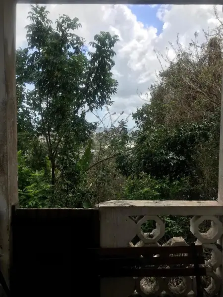 Appartement charmant à Fort-de-France, 30 m², jardin privé - Photo 11