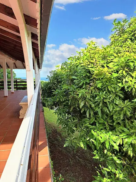 Maison confortable à Rivière-Pilote avec vue sur la mer - Photo 17
