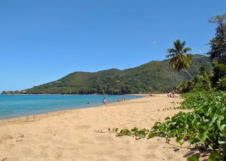 Appartement spacieux à Sainte-Rose - 120 m² - Terrasse ensoleillée - Photo 8