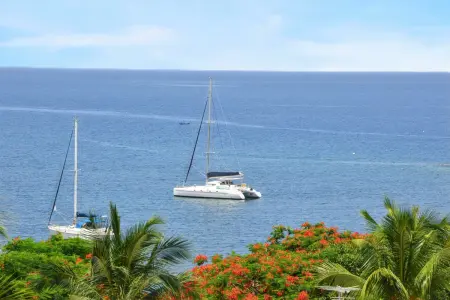 Bungalow confortable à Bouillante avec vue sur la mer - Photo 23