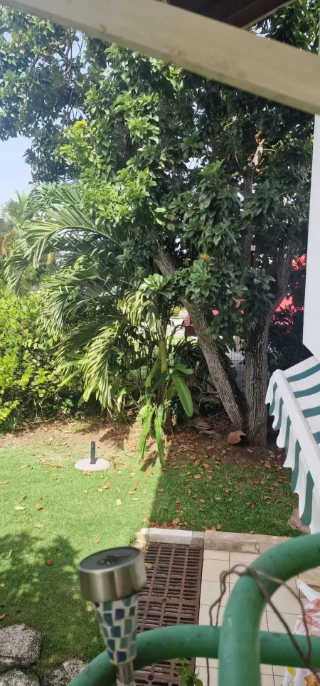 Appartement charmant à Baie Mahault avec belle terrasse – 30 m² - Photo 19