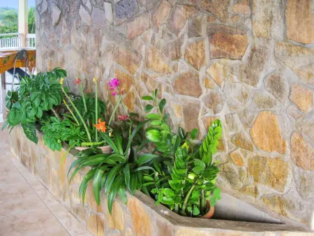 Maison avec vue sur la mer, Le Robert + Jardin et Terrasse - Photo 17