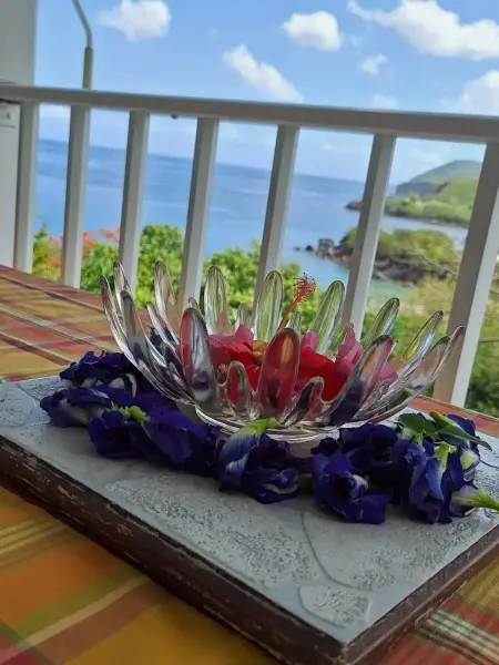 Maison accueillante avec vue sur la mer à Deshaies + Terrasse - Photo 16