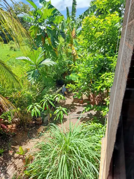 Charmante Maison à Sainte-Rose avec Jacuzzi et Piscine - Photo 19