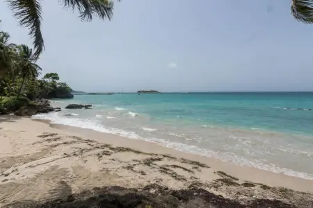 Studio charmant avec vue sur la mer à Le Gosier - 42 m² - Terrasse - Photo 22