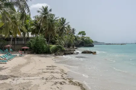 Studio charmant avec vue sur la mer à Le Gosier - 42 m² - Terrasse - Photo 23