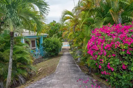 Studio charmant avec vue sur la mer à Le Gosier - 42 m² - Terrasse - Photo 32