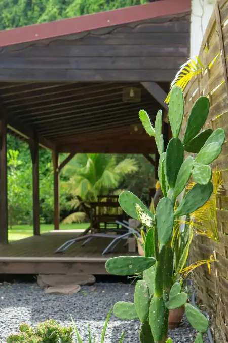 Maison chaleureuse aux Abymes avec jacuzzi relaxant - Photo 25