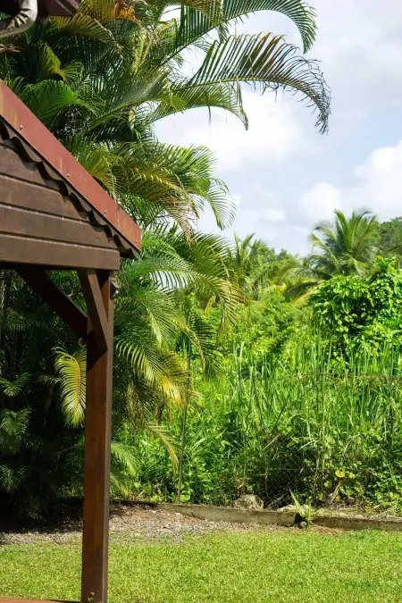 Maison chaleureuse aux Abymes avec jacuzzi relaxant - Photo 34