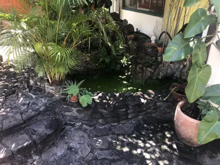 Studio charmant à Basse Terre, vue sur jardin, 15 m² - Photo 7