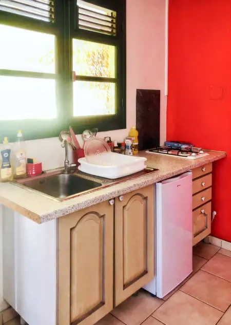 Appartement charmant à Basse-Terre - 25 m² avec jardin - Photo 1
