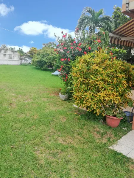 Studio charmant à Sainte-Luce, 28 m², terrasse et jardin. - Photo 9