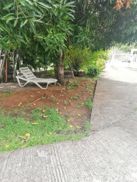 Studio charmant à Sainte-Luce, 28 m², terrasse et jardin. - Photo 13