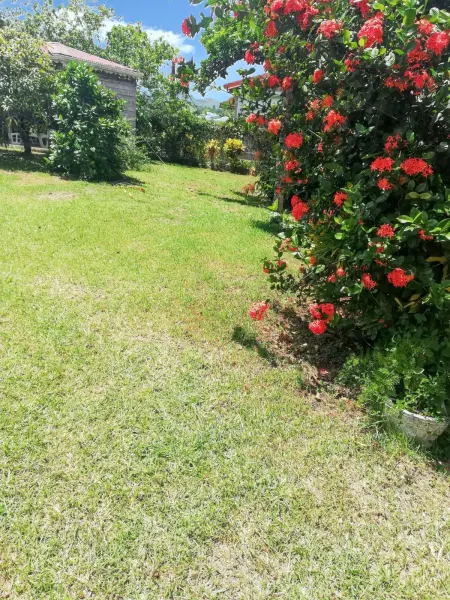 Studio charmant à Sainte-Luce, 28 m², terrasse et jardin. - Photo 18