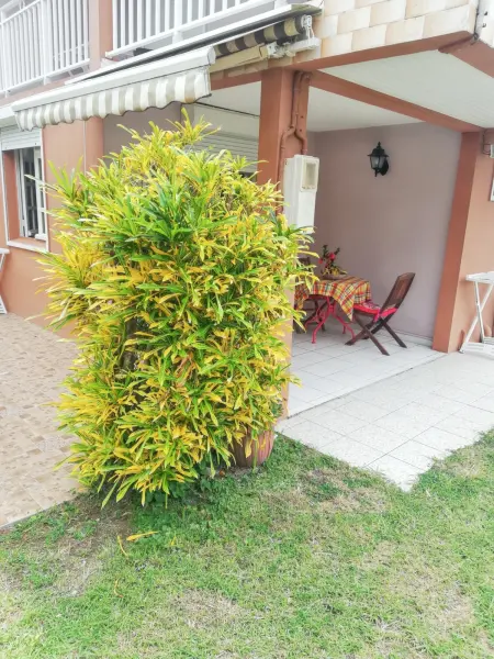 Studio charmant à Sainte-Luce, 28 m², terrasse et jardin. - Photo 20