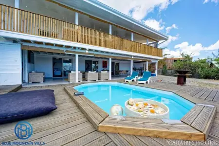 Villa élégante avec vue sur mer et montagne au Carbet - Photo 6