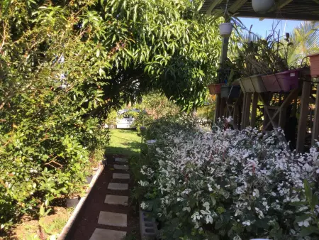 Villa chaleureuse près de Le Tampon avec piscine partagée - Photo 19