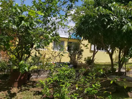 Villa chaleureuse près de Le Tampon avec piscine partagée - Photo 25