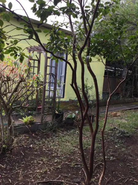 Villa chaleureuse près de Le Tampon avec piscine partagée - Photo 32