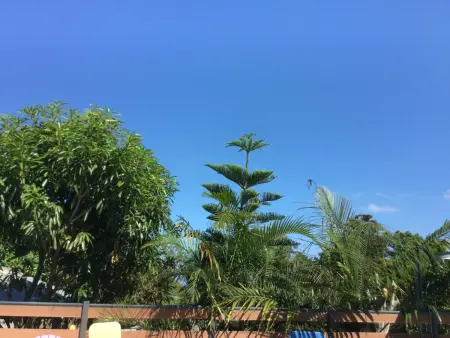 Villa chaleureuse près de Le Tampon avec piscine partagée - Photo 35